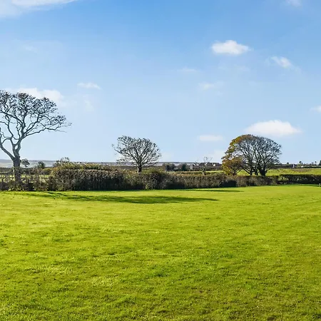 Oak - Uk48269 * Γουίτμπι