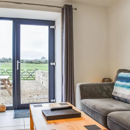 Oak - Uk48269 * Whitby